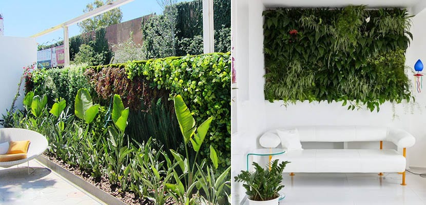 découvrez l'art des jardins verticaux : des espaces verts innovants et esthétiques qui embellissent votre intérieur et extérieur. apprenez à créer votre propre oasis de verdure tout en optimisant l'espace avec des plantes luxuriantes.