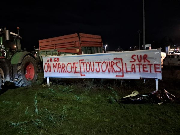 découvrez comment les jeunes agriculteurs transforment l'agriculture grâce à des pratiques innovantes et durables. leur engagement et leur créativité permettent de repenser notre rapport à la terre et d’assurer un avenir meilleur pour l’agriculture.