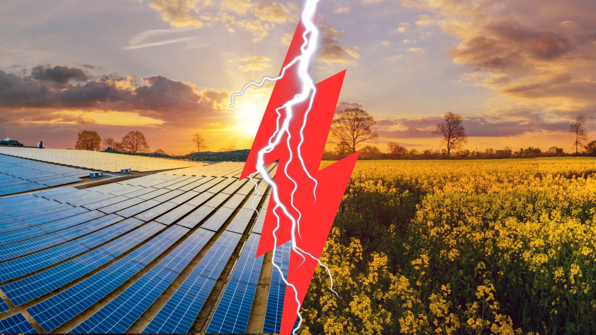 découvrez comment de jeunes agriculteurs innovent et transforment le paysage agricole grâce à des pratiques durables et des technologies novatrices. cette nouvelle génération de professionnels redéfinit l'agriculture pour un avenir meilleur.