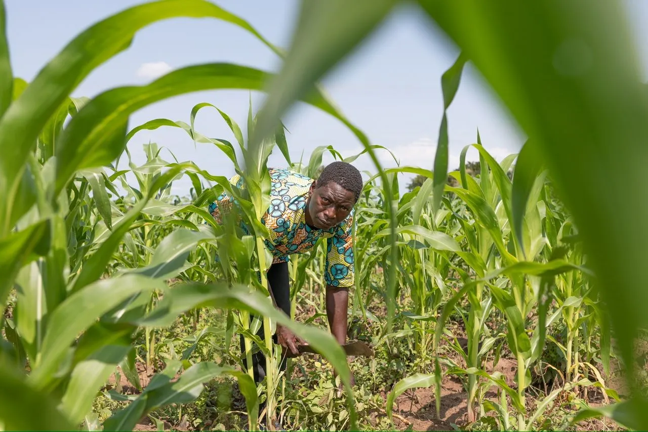 découvrez comment les jeunes s'engagent pour une agriculture durable en alliant innovation, respect de l'environnement et pratiques responsables. rejoignez le mouvement pour un avenir agricole plus vert et durable!