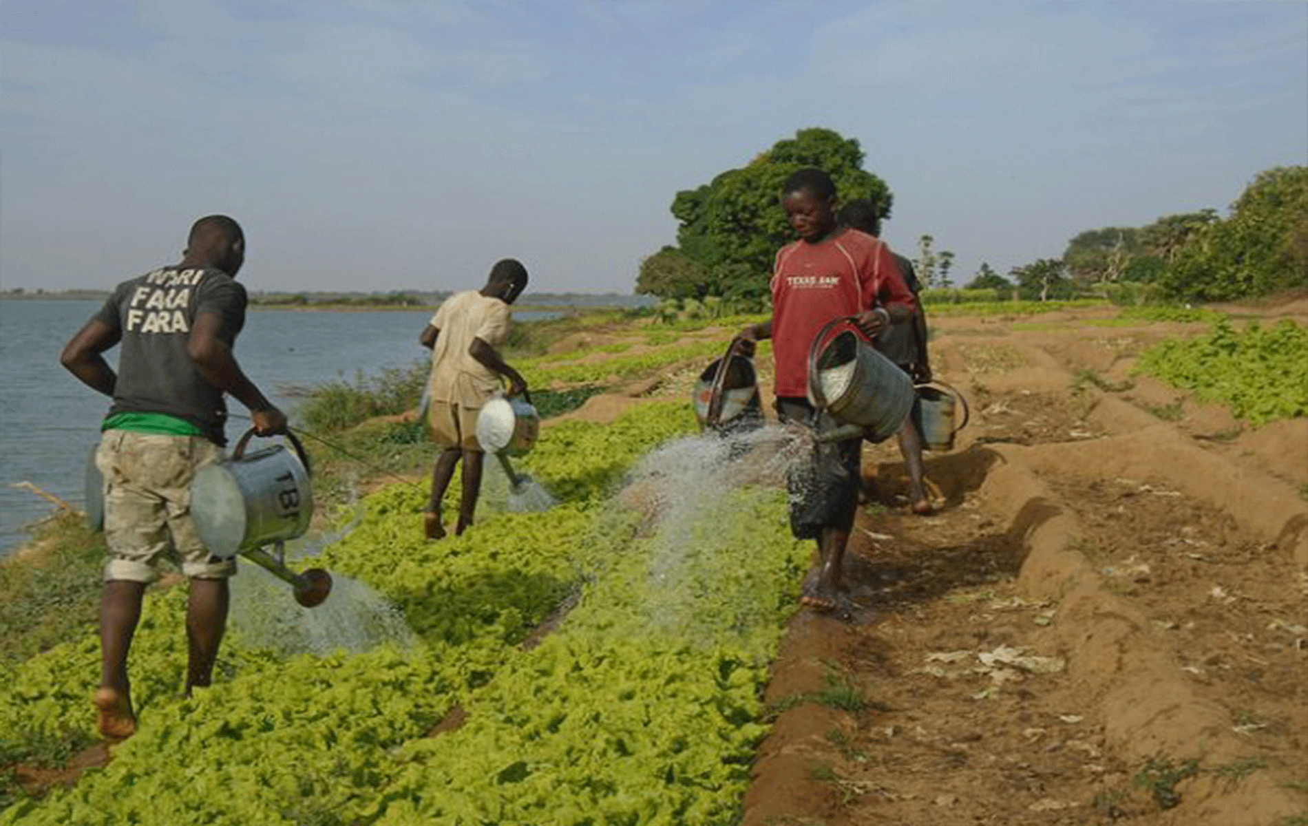 découvrez comment les jeunes agriculteurs s'engagent pour une agriculture durable, en adoptant des pratiques innovantes et respectueuses de l'environnement qui préservent nos ressources pour les générations futures.