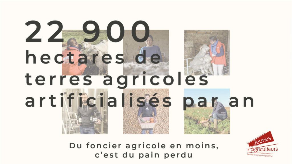 découvrez comment les jeunes s'engagent dans l'agriculture durable, alliant innovation et respect de l'environnement pour construire un avenir plus vert. explorez des initiatives, des techniques écologiques et les témoignages inspirants de cette nouvelle génération d'agriculteurs.