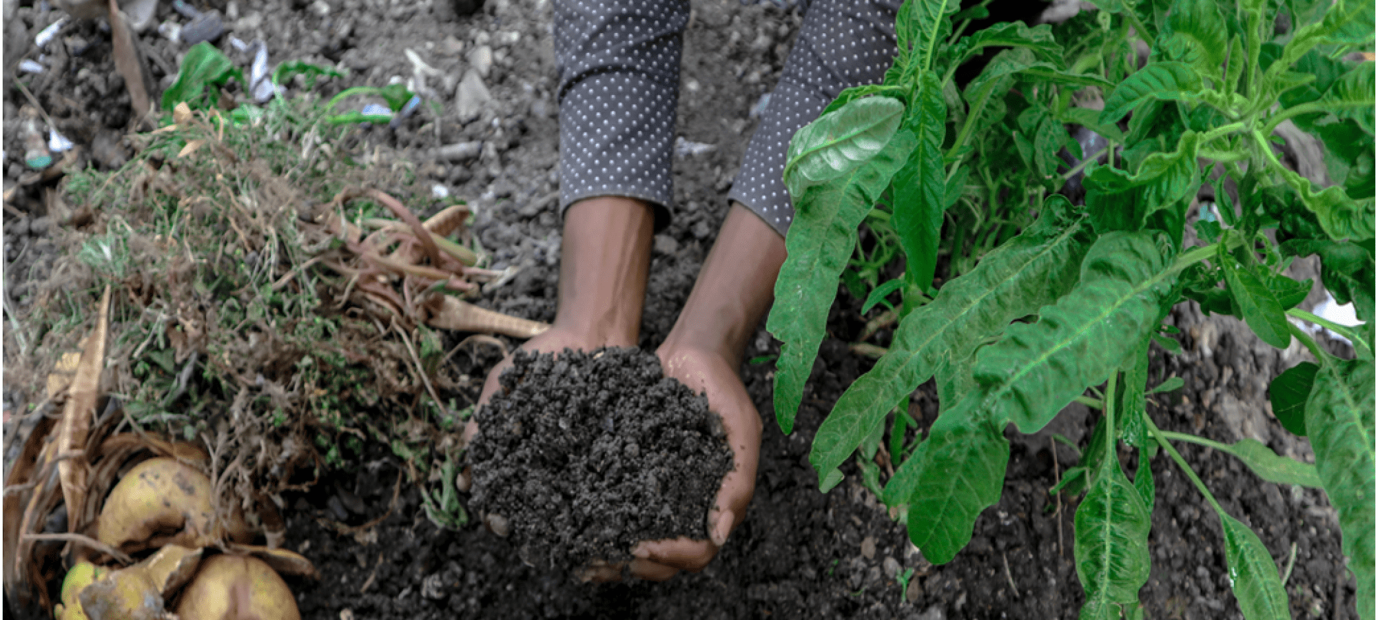 découvrez comment les jeunes s'engagent dans l'agriculture durable pour préserver notre planète tout en innovant. inspirez-vous des initiatives qui allient performance économique et respect de l'environnement.
