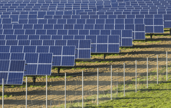 découvrez nos offres de location de terres agricoles adaptées à l'installation de panneaux photovoltaïques. profitez d'un espace optimal pour développer vos projets d'énergie renouvelable tout en valorisant vos terres. engagez-vous pour un avenir durable !