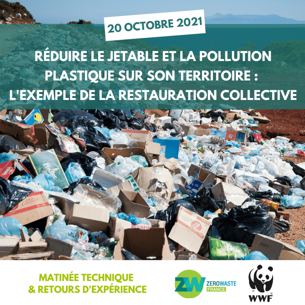 découvrez des stratégies innovantes et des initiatives efficaces pour lutter contre la pollution plastique. engagez-vous dans la préservation de notre planète et apprenez comment chacun peut contribuer à réduire son impact sur l'environnement.