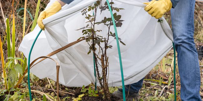 découvrez les différentes méthodes de culture qui optimisent la production agricole. explorez les techniques traditionnelles et modernes, ainsi que leurs avantages, pour améliorer la qualité et le rendement de vos cultures.