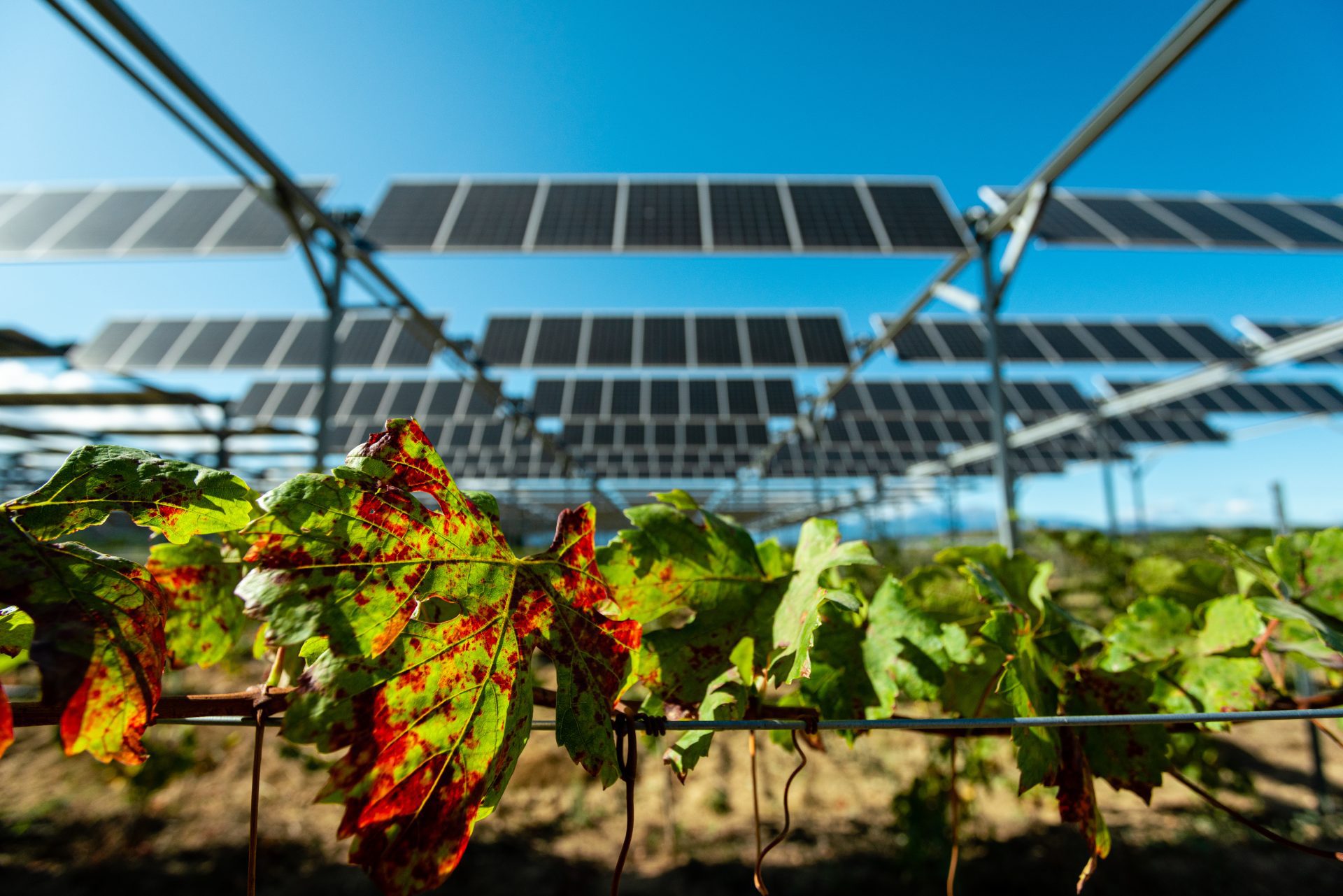 découvrez comment les micro-réseaux solaires révolutionnent l'agriculture en offrant une solution énergétique durable et innovante. optimisez vos cultures tout en réduisant votre empreinte carbone grâce à cette technologie verte.