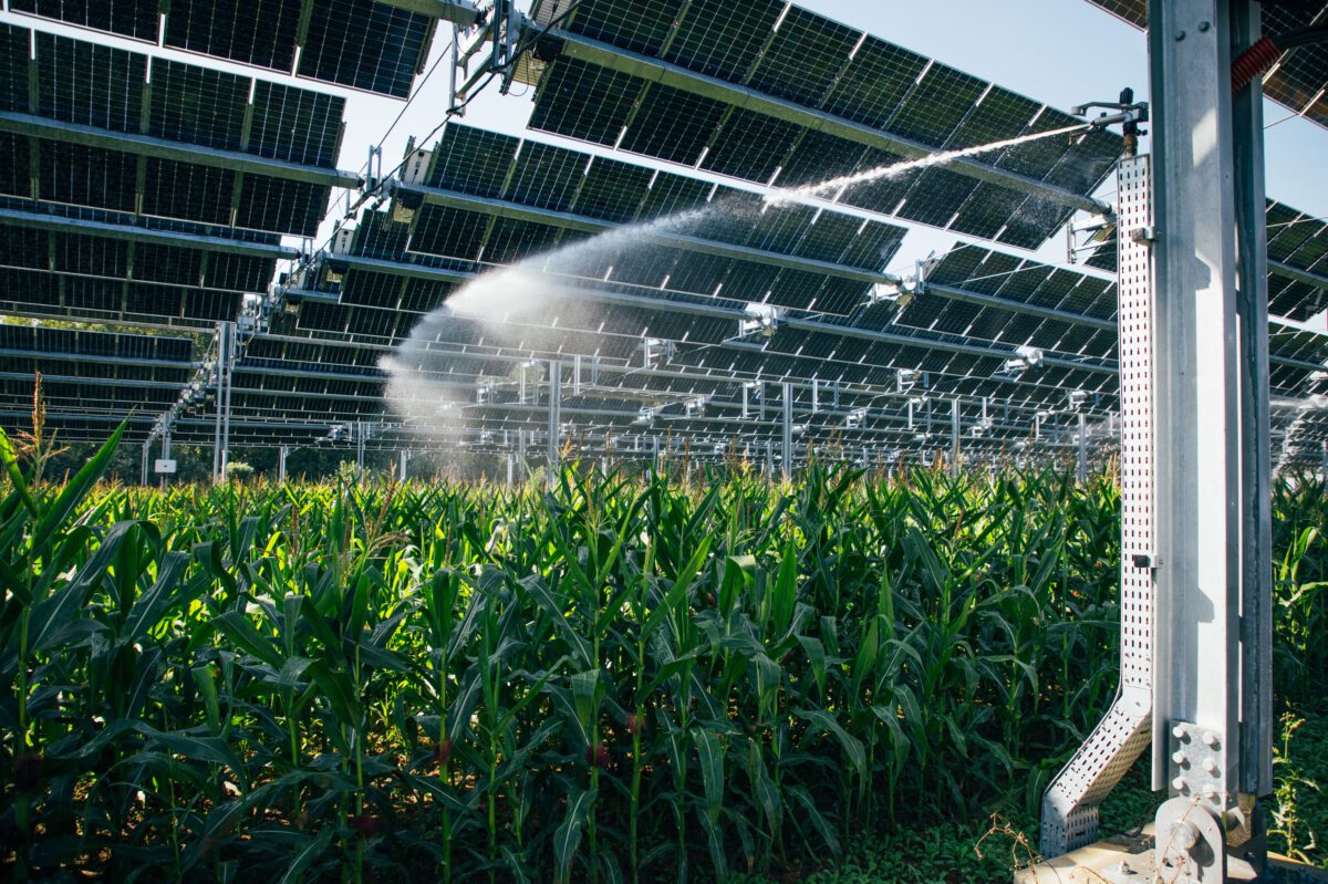 découvrez comment les mini-centrales solaires révolutionnent l'agriculture en offrant une source d'énergie renouvelable et durable. optimisez vos ressources et réduisez vos coûts grâce à cette solution innovante qui allie technologie et respect de l'environnement.