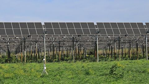découvrez nos offres énergétiques spécialement conçues pour le secteur agricole. bénéficiez d'options adaptées pour optimiser votre consommation d'énergie, réduire vos coûts et améliorer la durabilité de vos exploitations agricoles.