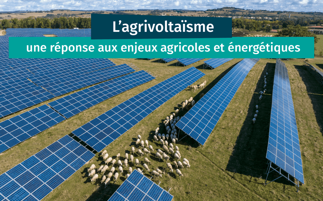 découvrez nos offres énergétiques dédiées au secteur agricole, conçues pour optimiser vos coûts et améliorer la durabilité de vos exploitations. profitez de solutions innovantes et adaptées à vos besoins pour une agriculture responsable et performante.