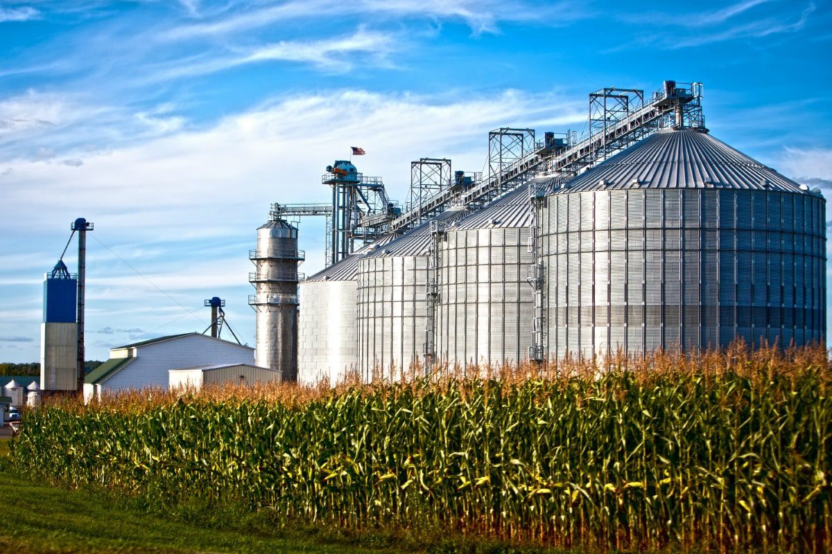 découvrez comment les ong utilisent les technologies vertes pour promouvoir la durabilité environnementale. explorez les innovations qui transforment des projets écologiques et soutiennent des communautés à travers le monde.