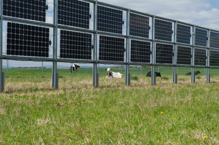 découvrez comment bénéficier de panneaux solaires gratuits avec engie. profitez d'une énergie renouvelable tout en réduisant vos factures d'électricité. renseignez-vous dès maintenant sur cette offre avantageuse et commencez à produire votre propre énergie.