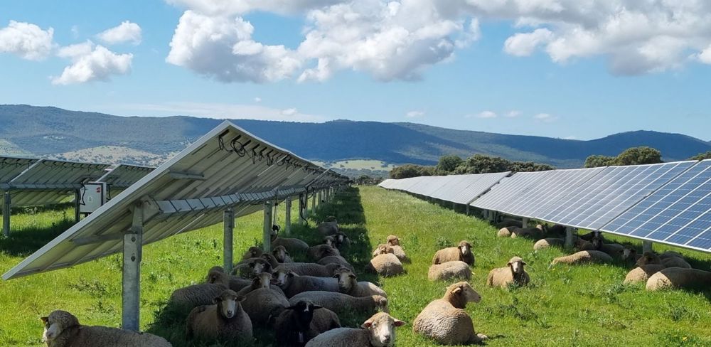 découvrez les synergies entre agriculture et énergie à travers des partenariats innovants. explorez comment ces collaborations favorisent la durabilité, optimisent les ressources et contribuent à la transition énergétique tout en soutenant le secteur agricole.