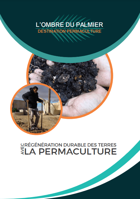 découvrez les principes de la permaculture durable pour créer un écosystème harmonieux et respectueux de l'environnement. apprenez à cultiver de manière responsable tout en favorisant la biodiversité et la résilience des sols.