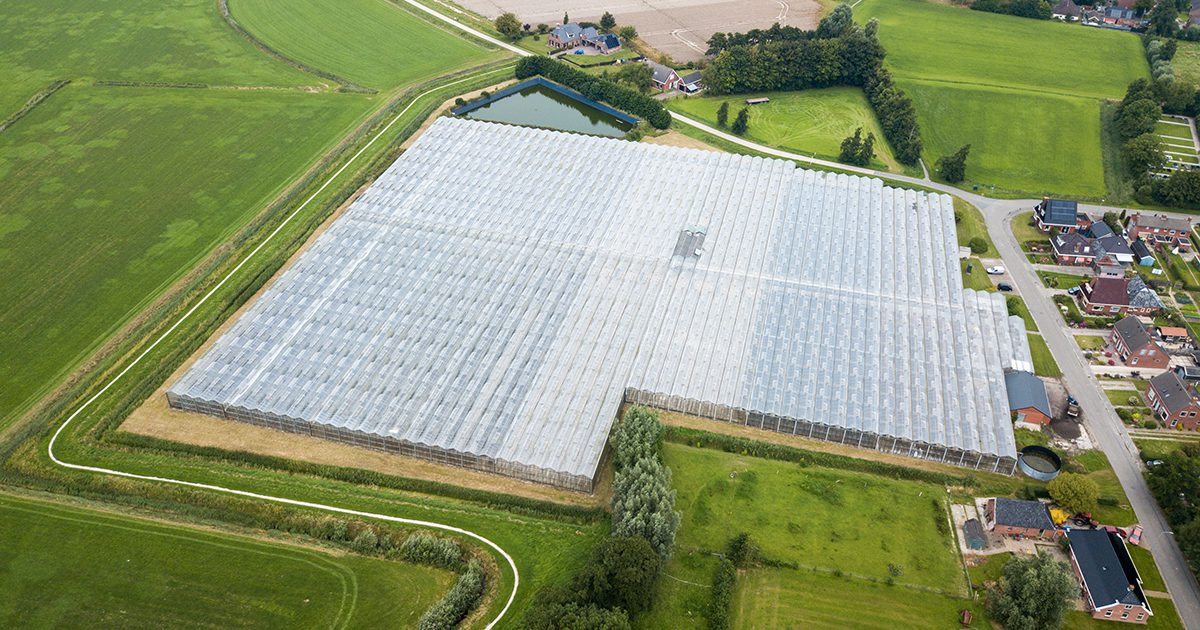 découvrez comment l'énergie photovoltaïque transforme le secteur agricole en offrant des solutions durables et rentables. apprenez les avantages de l'intégration des panneaux solaires dans vos exploitations pour optimiser la production et réduire les coûts énergétiques.