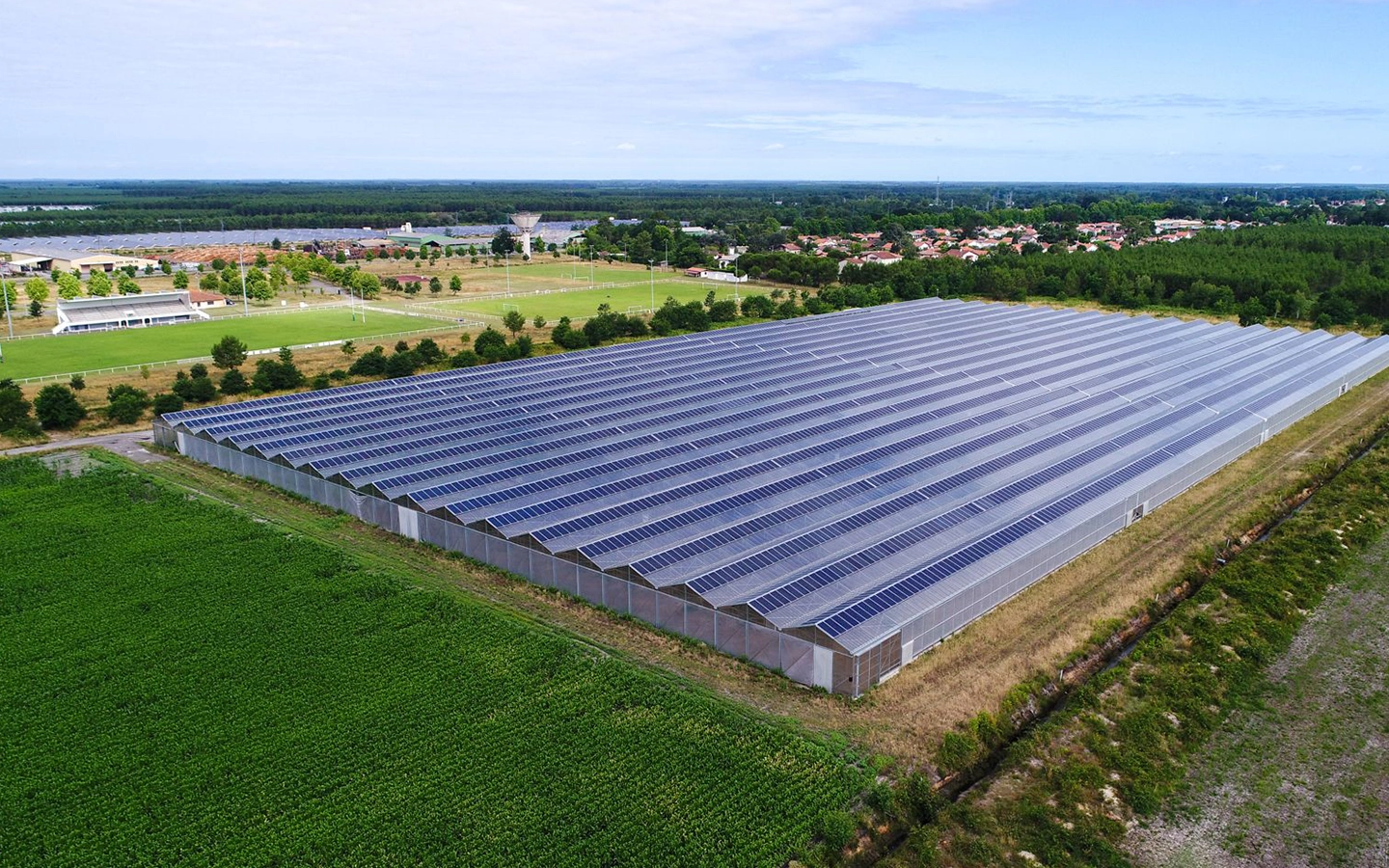 découvrez comment l'énergie photovoltaïque transforme l'agriculture en optimisant la production tout en réduisant les coûts. explorez les avantages de l'utilisation de panneaux solaires dans le secteur agricole et contribuez à un avenir durable.