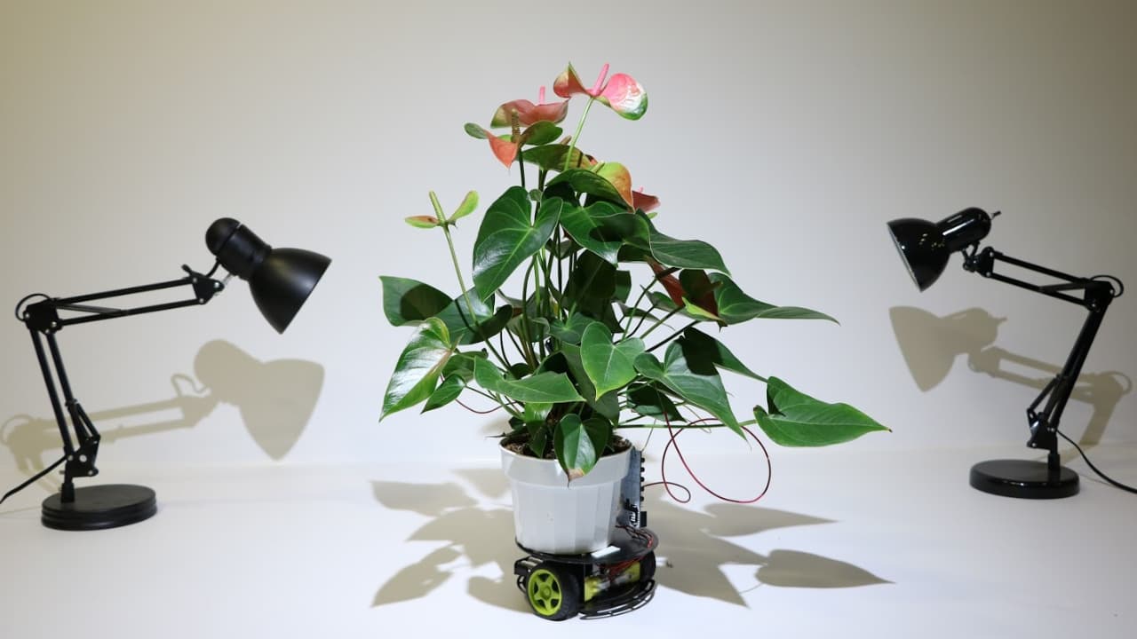 découvrez l'univers fascinant des plantes technologiques, où innovation et nature se rencontrent. explorez comment ces nouvelles formes de vie améliorent notre quotidien, offrent des solutions durables et révolutionnent le paysage de l'agriculture et de l'environnement.