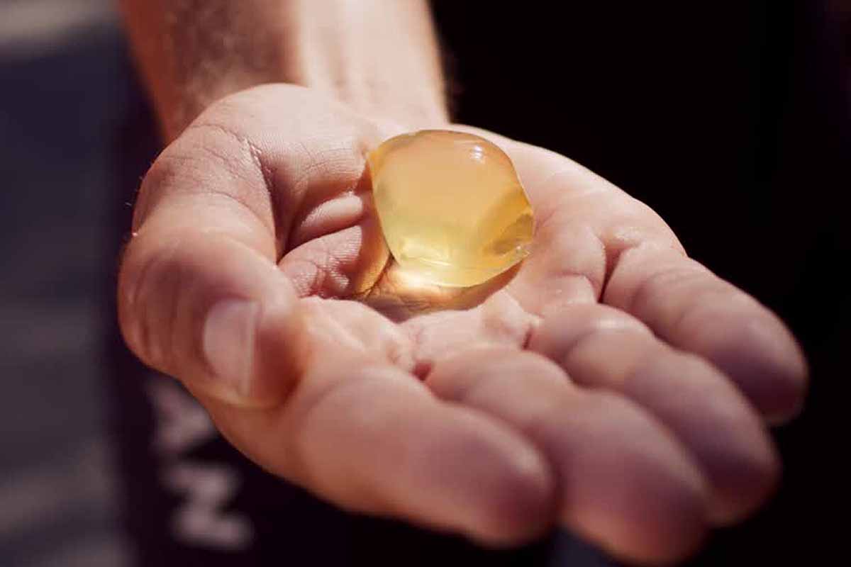 découvrez comment les algues peuvent offrir des solutions durables pour remplacer les plastiques traditionnels. explorez les avantages écologiques et innovants de cette alternative respectueuse de l'environnement.