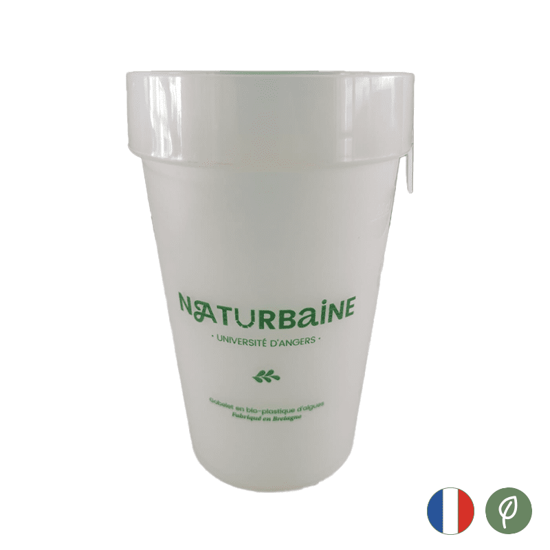 découvrez comment le plastique et les algues interagissent dans notre environnement, avec un focus sur les initiatives innovantes pour réduire la pollution plastique grâce à l'utilisation des algues. un aperçu des solutions écologiques pour un avenir durable.