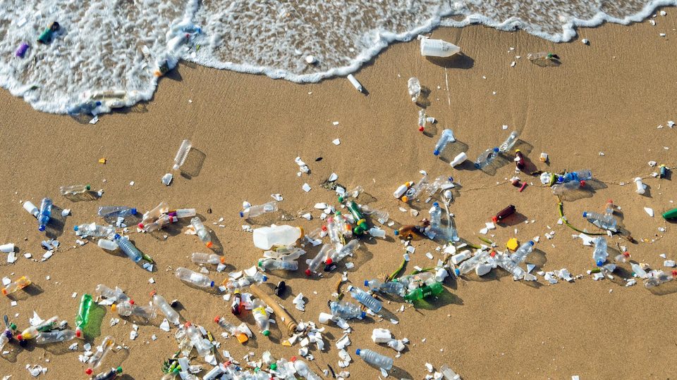 découvrez comment le plastique provenant des algues révolutionne l'écologie et l'industrie. explorez ses applications innovantes, ses avantages environnementaux et les solutions durables qu'il offre pour réduire la pollution plastique.