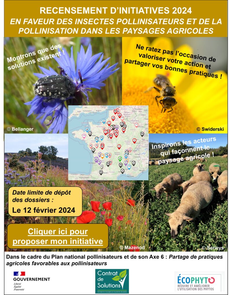 découvrez l'importance des pollinisateurs dans l'agriculture et leur rôle essentiel dans la production alimentaire durable. apprenez comment la préservation de ces précieux agents de pollinisation contribue à la biodiversité et à la santé des écosystèmes agricoles.