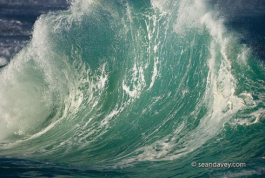 découvrez le potentiel des vagues : une exploration des énergies marines, des techniques de surf et des impacts environnementaux liés à ces puissantes forces naturelles.