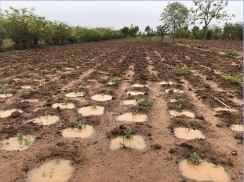 découvrez les meilleures pratiques agri-terre pour une agriculture durable et respectueuse de l'environnement. améliorez la santé de vos sols et optimisez vos rendements tout en préservant la biodiversité.