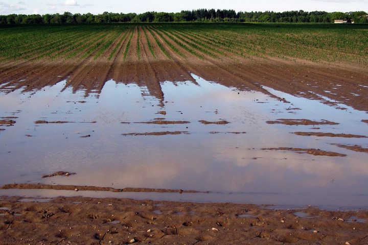 découvrez les pratiques agri-terre qui allient agriculture durable et respect de l'environnement. apprenez comment ces méthodes innovantes préservent les sols, favorisent la biodiversité et contribuent à une production alimentaire responsable.