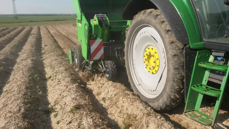 découvrez les pratiques agri-terre, un ensemble de techniques durables visant à optimiser la santé des sols et la productivité agricole. explorez comment ces méthodes innovantes favorisent la biodiversité et la résilience des écosystèmes, tout en répondant aux défis environnementaux actuels.