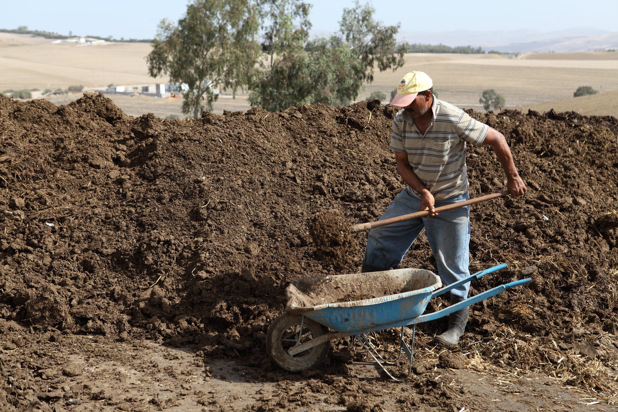 découvrez les pratiques agridurables qui allient agriculture et durabilité. apprenez comment ces méthodes innovantes contribuent à la préservation de l'environnement tout en garantissant des récoltes de qualité. adoptez des techniques respectueuses de la terre pour un avenir plus responsable.