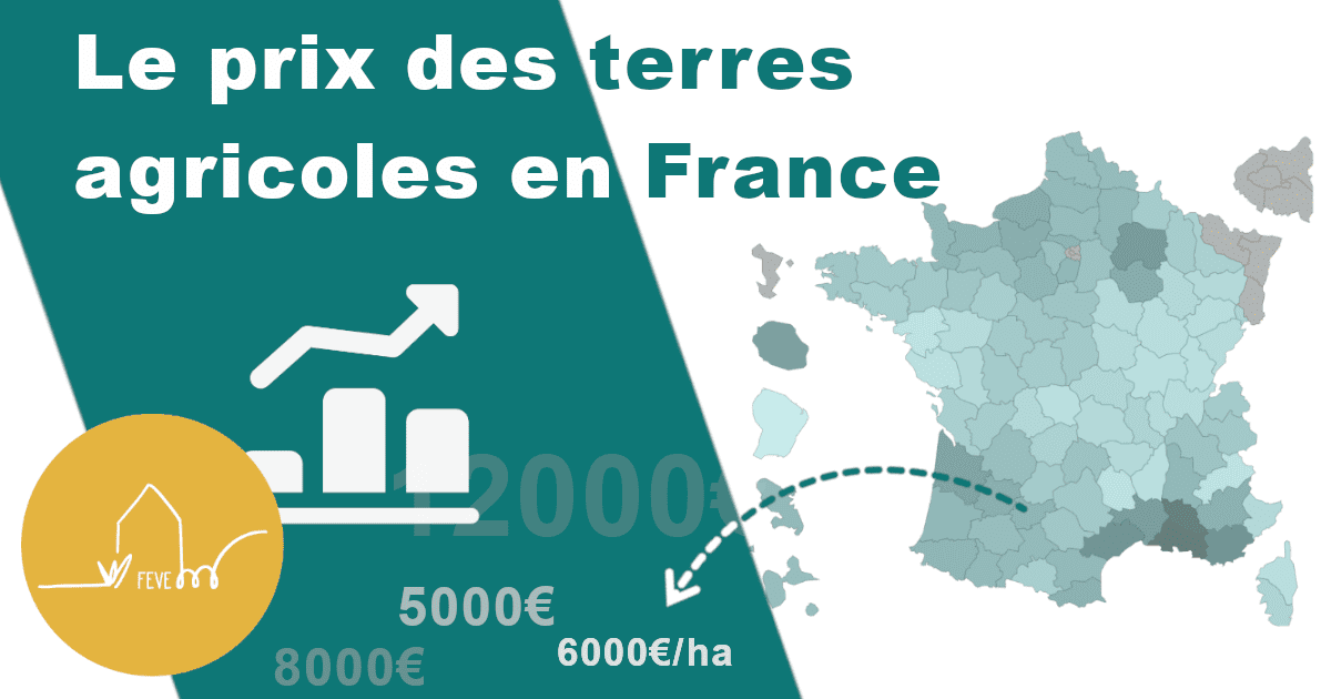découvrez tout ce que vous devez savoir sur les prix du fermage agricole en france : tendances, coûts moyens, et conseils pour optimiser votre bail rural. informez-vous pour mieux gérer votre exploitation agricole.