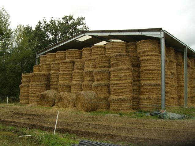découvrez les prix des hangars agricoles : comparez les options disponibles, les matériaux et les tailles pour trouver la solution idéale pour vos besoins agricoles. obtenez des conseils et des astuces pour un investissement rentable.