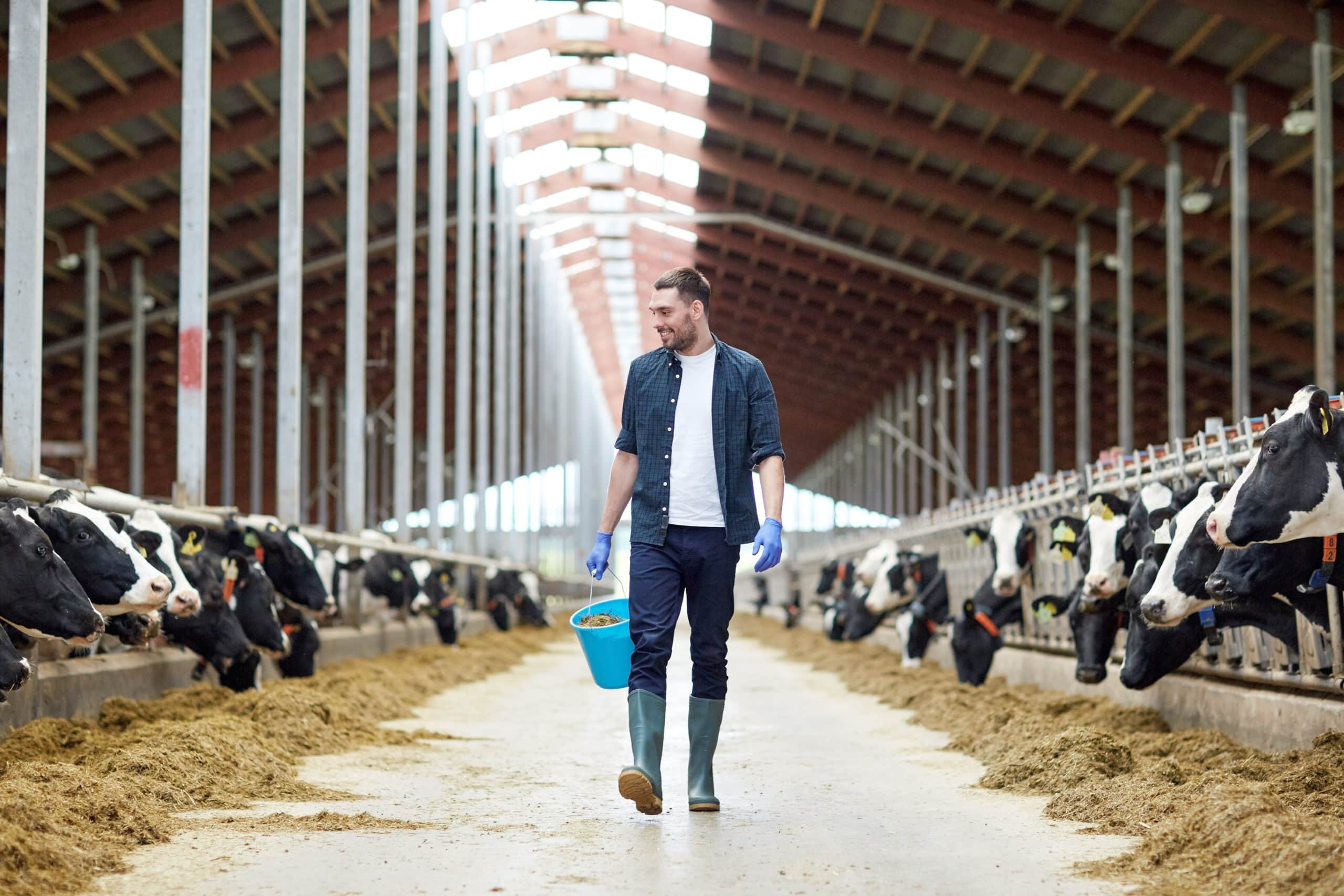 découvrez les prix au mètre carré des bâtiments agricoles en france. informez-vous sur les tendances du marché, les facteurs influençant les coûts et trouvez des conseils pour optimiser votre investissement.
