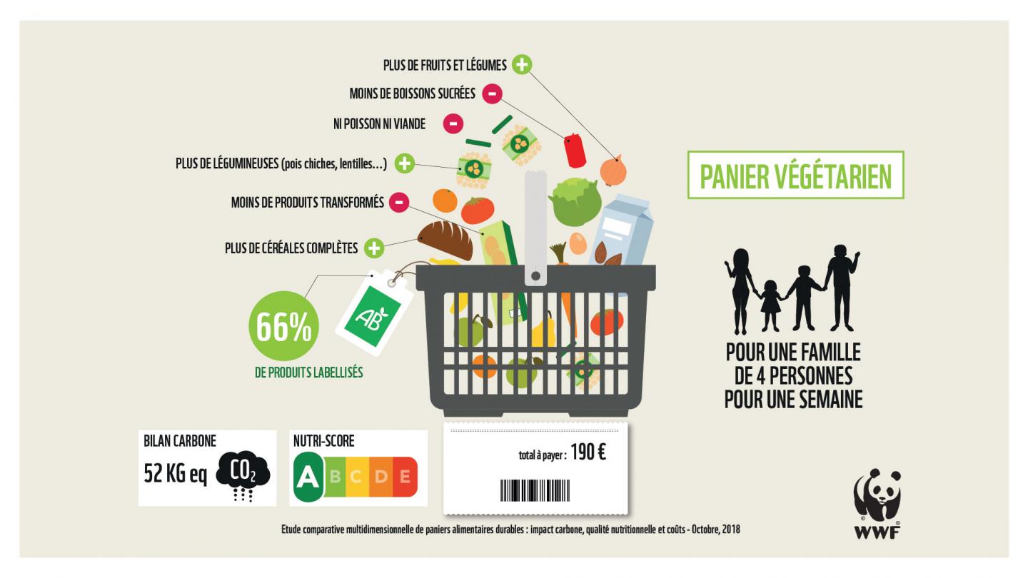 découvrez l'importance des produits locaux pour la durabilité de notre planète. apprenez comment soutenir l'économie locale tout en réduisant votre empreinte carbone grâce à des choix d'achat responsables.