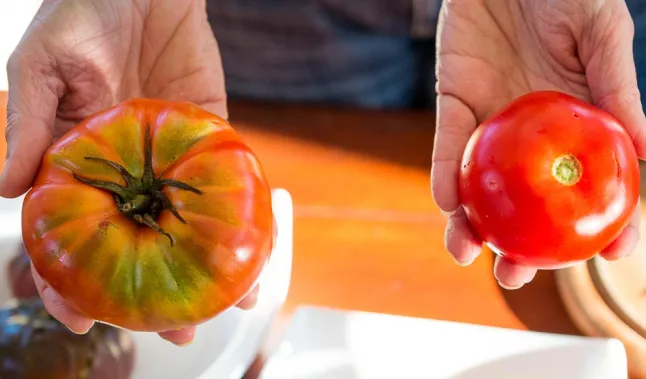 découvrez comment les produits locaux contribuent à une consommation durable, favorisent l'économie locale et préservent l'environnement. adoptez un mode de vie éthique et responsable en choisissant des aliments et articles respectueux de la planète.