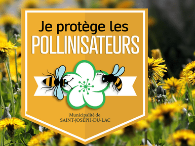 découvrez l'importance cruciale de la protection des pollinisateurs pour la biodiversité et la sécurité alimentaire. apprenez comment chacun peut contribuer à préserver ces précieux alliés de la nature et à soutenir un écosystème sain.