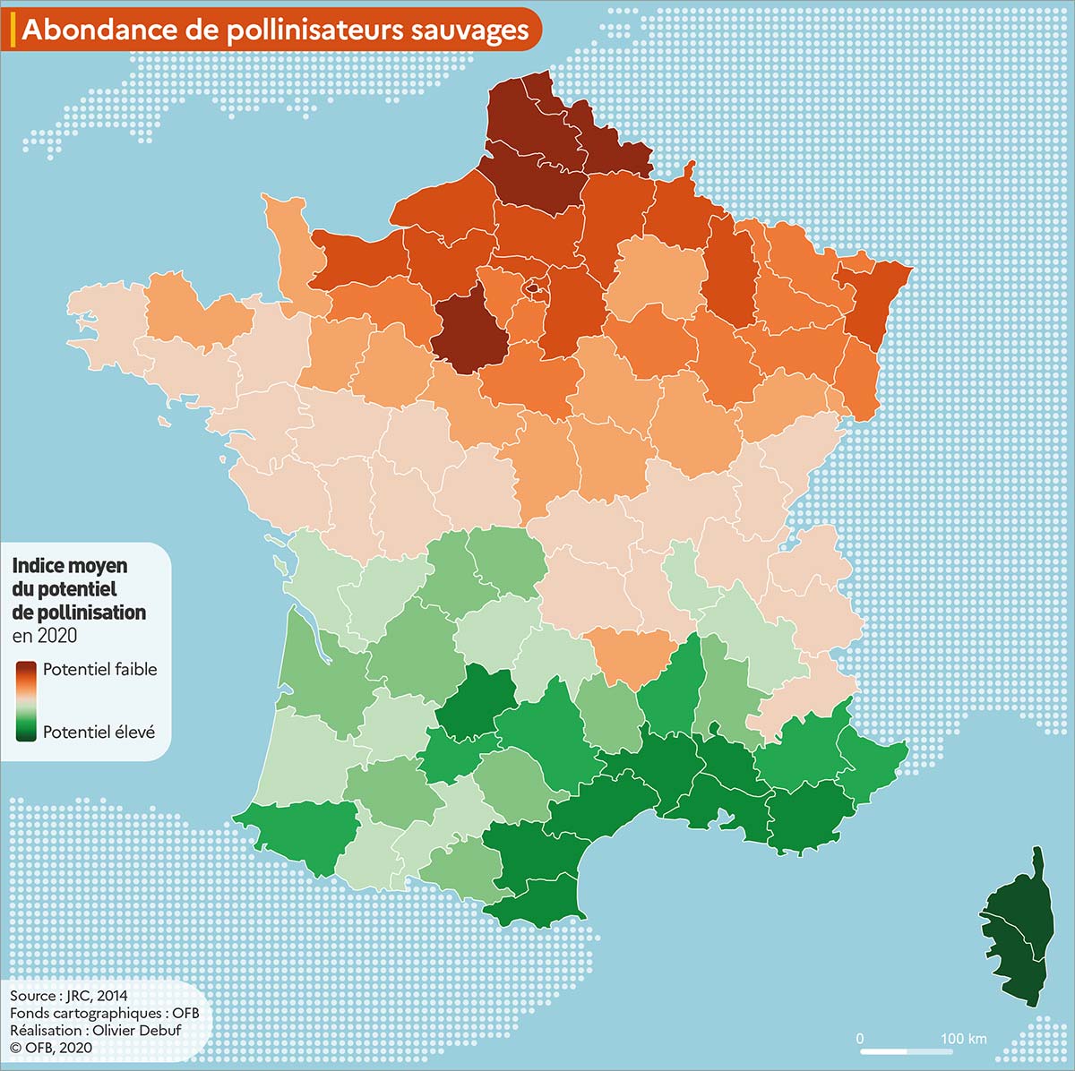 découvrez l'importance de la protection des pollinisateurs pour la biodiversité et la sécurité alimentaire. apprenez comment préserver ces précieux insectes et favoriser un écosystème sain.