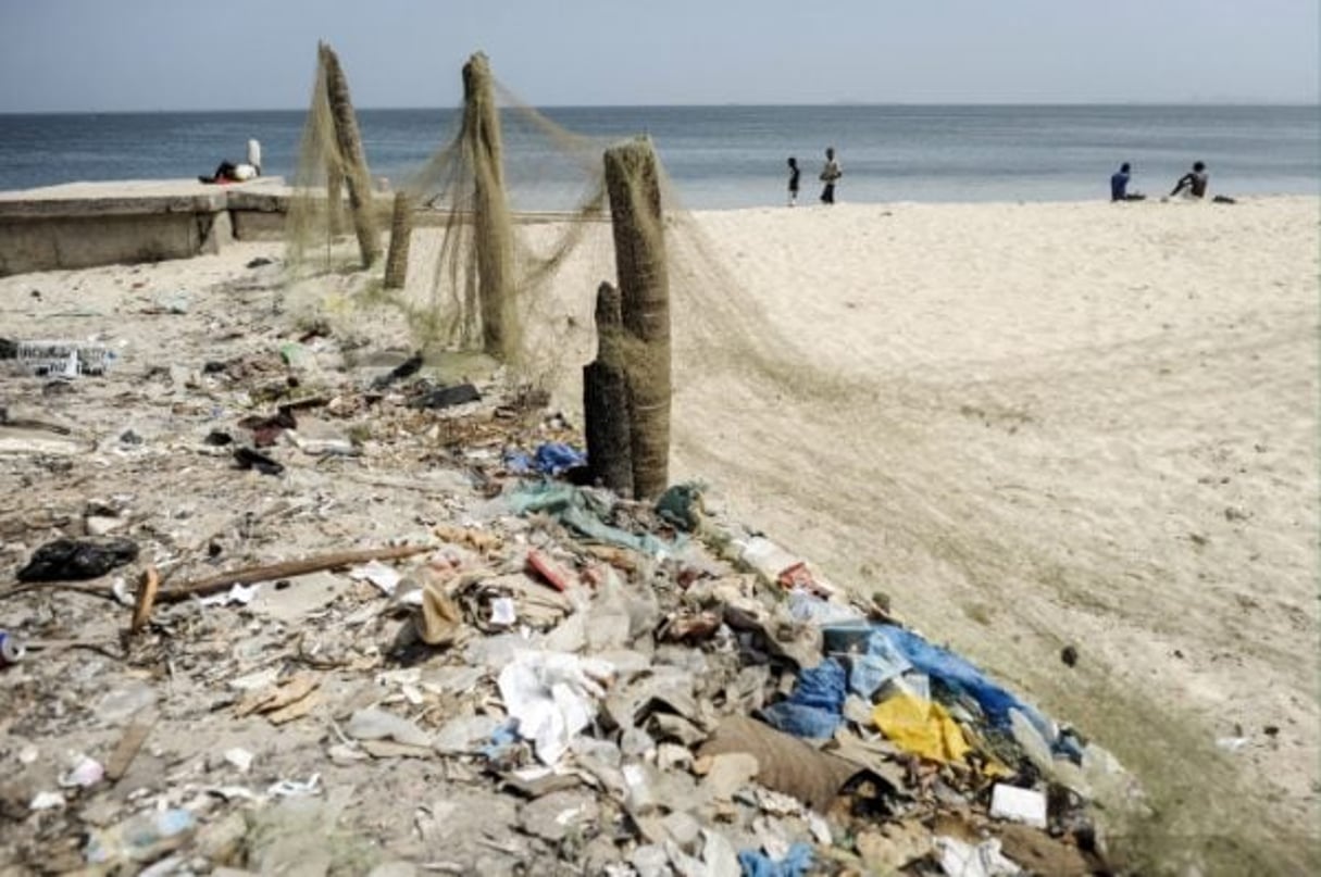 découvrez les initiatives et les actions engagées pour la protection des océans. un guide complet sur les efforts de conservation, les espèces menacées et les solutions durables pour préserver nos mers et océans pour les générations futures.