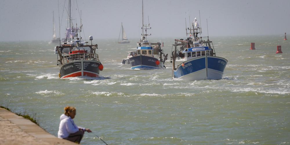découvrez l'importance de la protection des océans et les actions essentielles à entreprendre pour préserver la biodiversité marine et lutter contre la pollution. engagez-vous pour un avenir durable et sain pour nos mers.