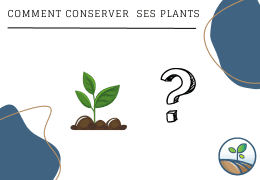 découvrez comment agir pour notre planète en suivant ces 5 étapes simples mais efficaces. protéger la terre n'a jamais été aussi accessible ! adoptez des gestes écologiques au quotidien et contribuez à un avenir durable.