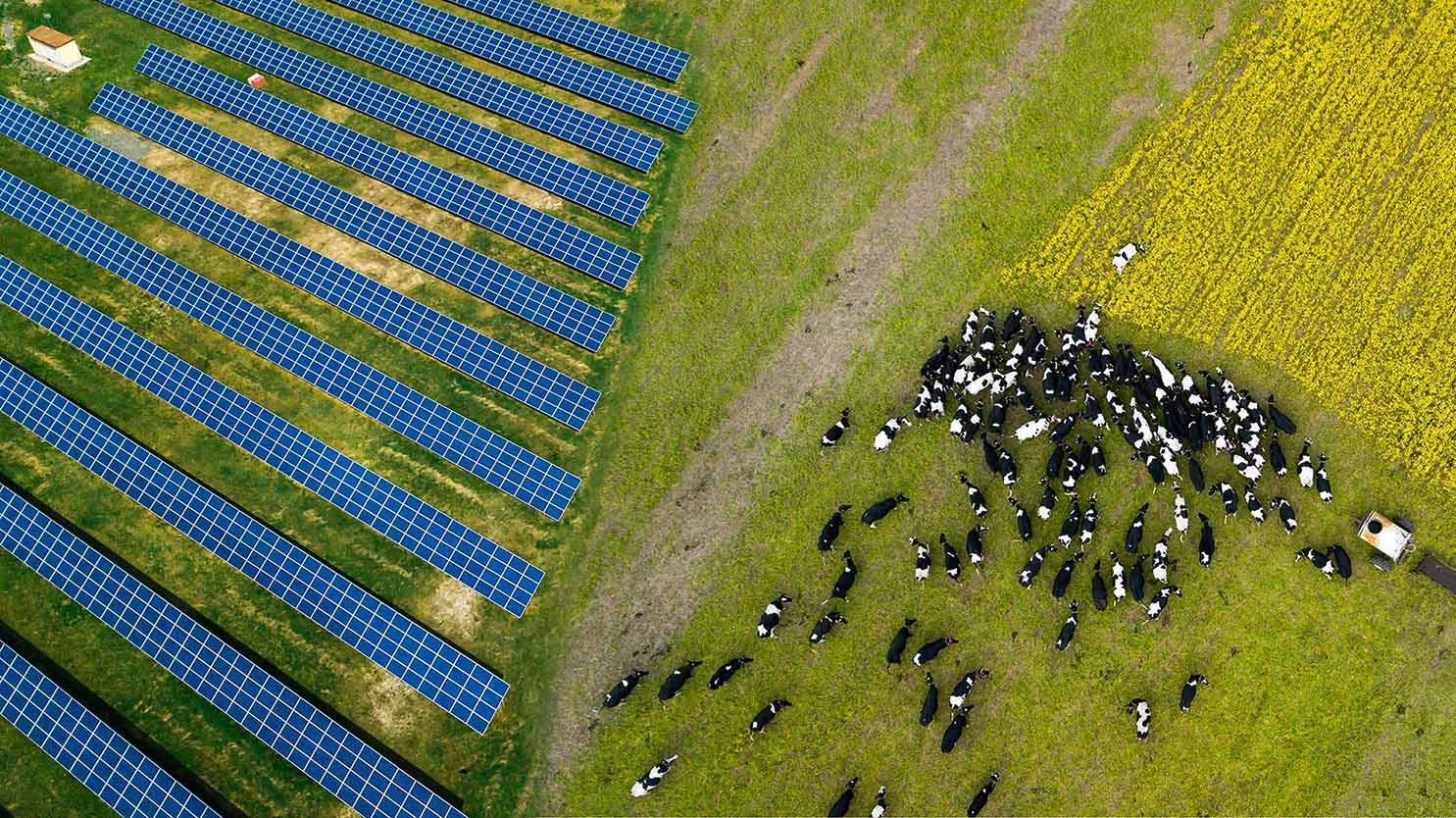 découvrez les perspectives des pv agricoles en 2025 : tendances, innovations et opportunités pour les exploitations agricoles. restez informé sur les dernières avancées technologiques et les impacts économiques des panneaux solaires dans le secteur agricole.