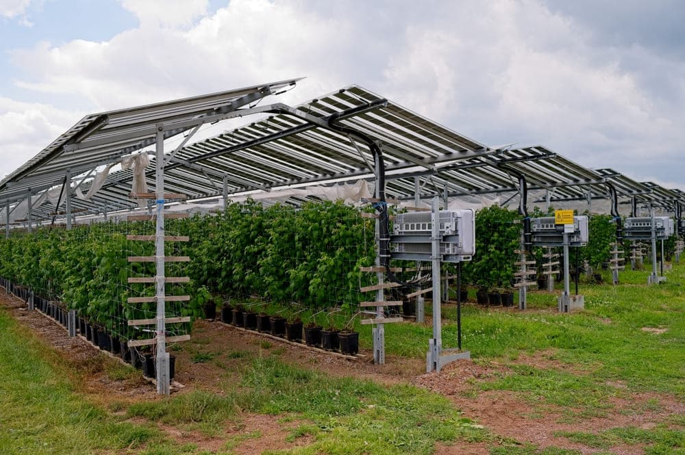 découvrez comment le rachat photovoltaïque agricole peut transformer votre exploitation en source de revenus durable. optimisez votre investissement énergétique tout en contribuant à la transition écologique grâce à des solutions adaptées aux agriculteurs.