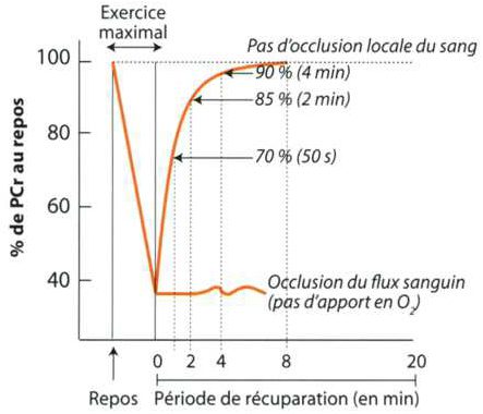 découvrez comment atteindre une récupération énergétique maximale grâce à des techniques innovantes et des stratégies efficaces. optimisez votre performance et votre bien-être en maximisant l'énergie récupérée dans votre quotidien.
