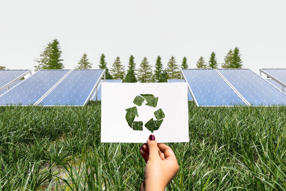 découvrez l'impact environnemental du recyclage des panneaux. apprenez comment cette pratique contribue à la préservation des ressources naturelles, à la réduction des déchets et à la lutte contre le changement climatique.