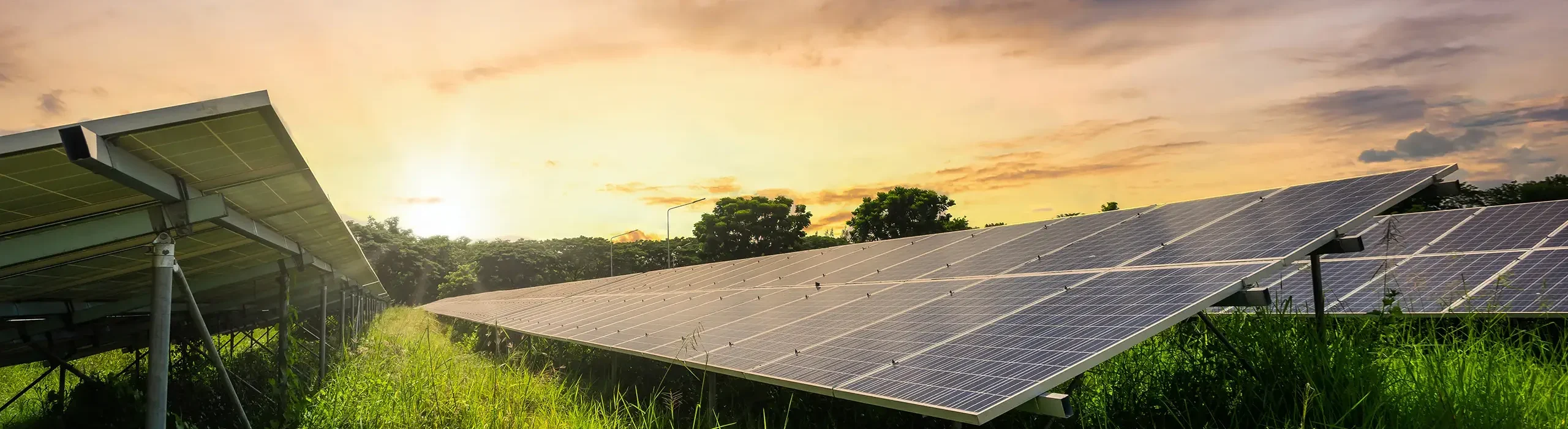 découvrez comment réduire l'impact environnemental des systèmes photovoltaïques grâce à des pratiques durables, des matériaux recyclables et des technologies innovantes. optimisez votre installation solaire tout en préservant notre planète.