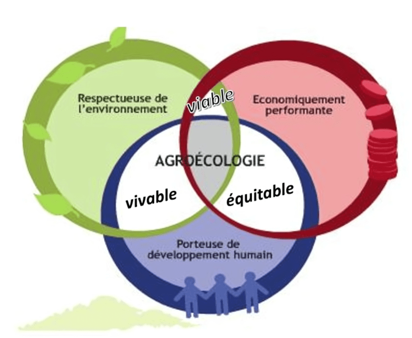 découvrez des stratégies efficaces pour réduire vos intrants et économiser sur vos coûts. adoptez des pratiques durables et optimisez vos ressources pour un avenir plus responsable et rentable.