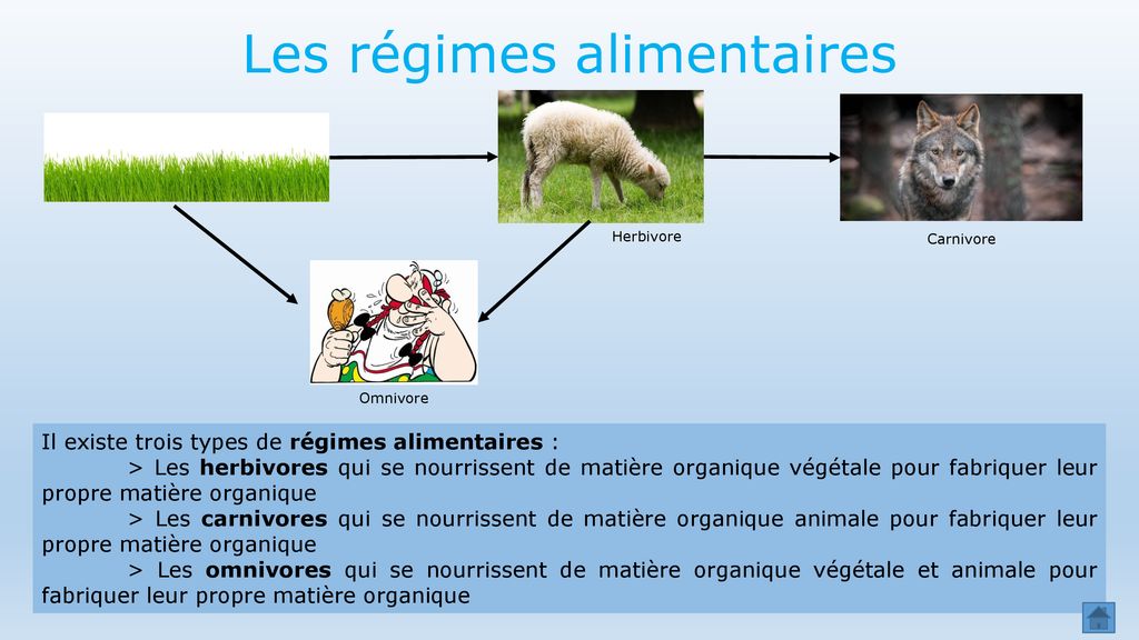 découvrez comment les régimes alimentaires peuvent influencer votre niveau d'énergie au quotidien. apprenez à équilibrer vos repas pour optimiser votre vitalité, améliorer votre concentration et favoriser un bien-être général. explorez des conseils nutritionnels adaptés à votre mode de vie.