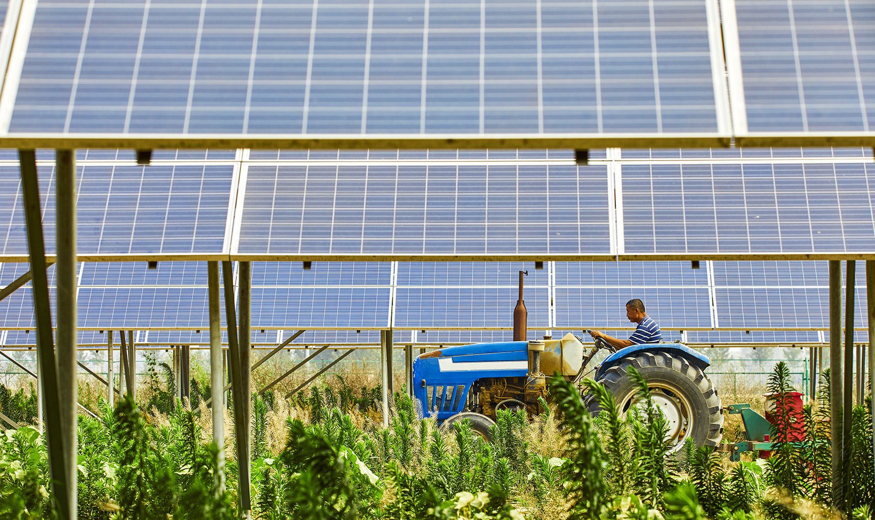 découvrez les réglementations essentielles concernant l'installation de hangars agricoles équipés de panneaux photovoltaïques. cette guide vous aide à naviguer dans les normes légales, les démarches administratives et les meilleures pratiques pour optimiser votre projet tout en restant conforme aux exigences en vigueur.