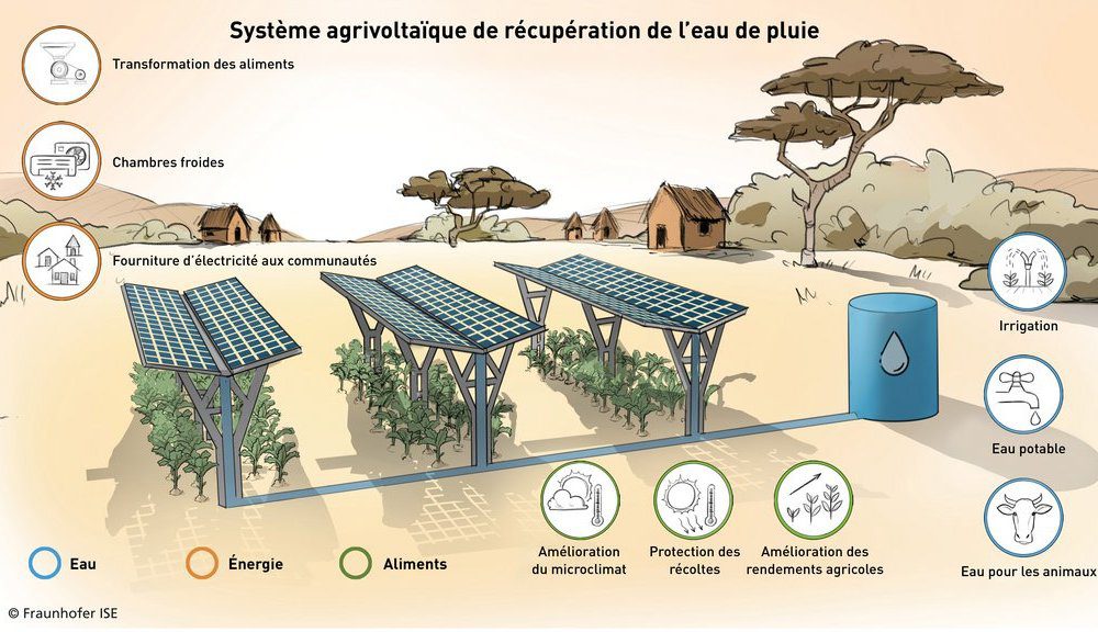 découvrez comment optimiser les rendements agricoles tout en gérant efficacement l'énergie. explorez des stratégies innovantes et durables pour améliorer votre production et réduire vos coûts énergétiques.