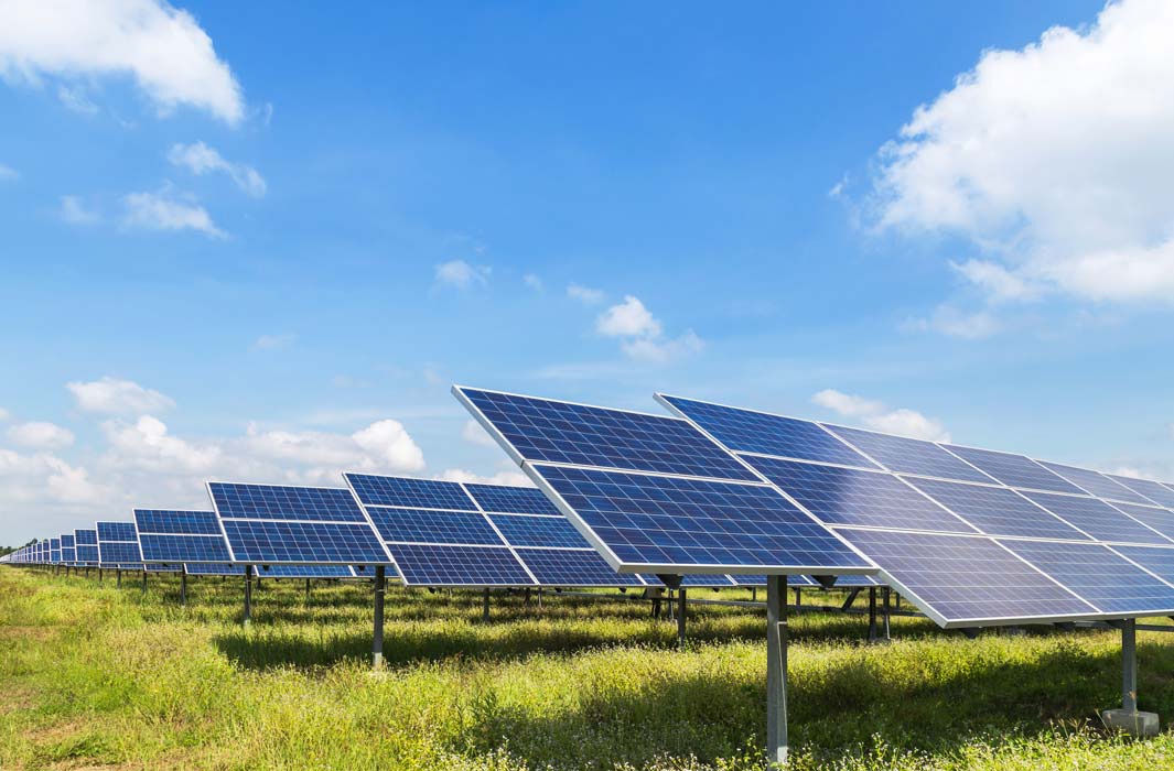 découvrez les avantages et la rentabilité des fermes solaires. apprenez comment investir dans l'énergie solaire peut générer des revenus durables tout en contribuant à la protection de l'environnement.